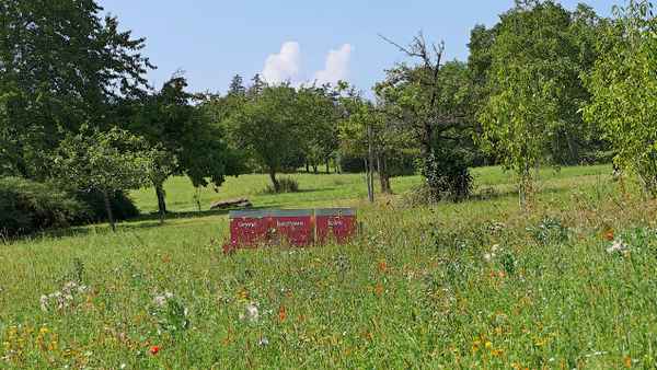 Bienenstöcke