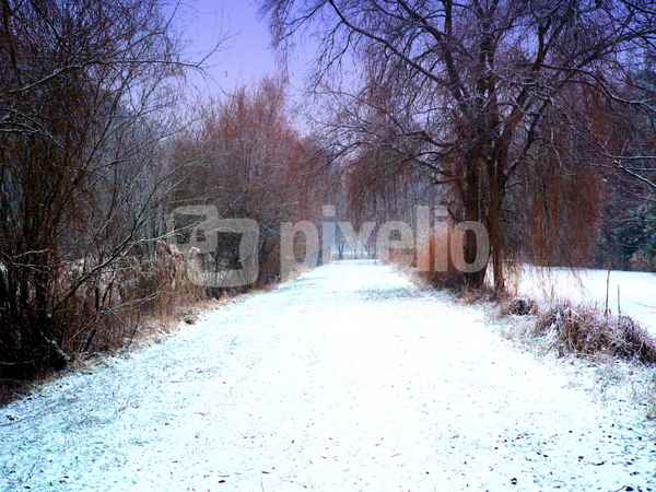 Wintertraum-15