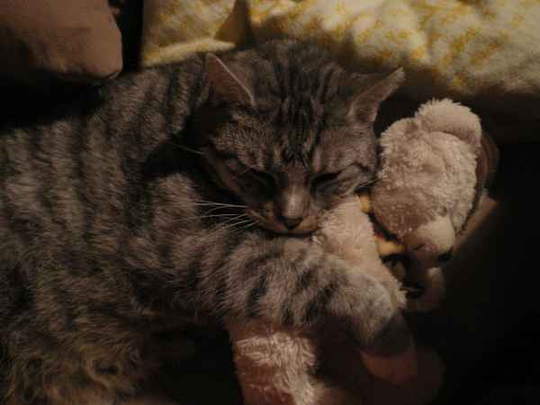 Onkel Wilhelm beim Kuscheln