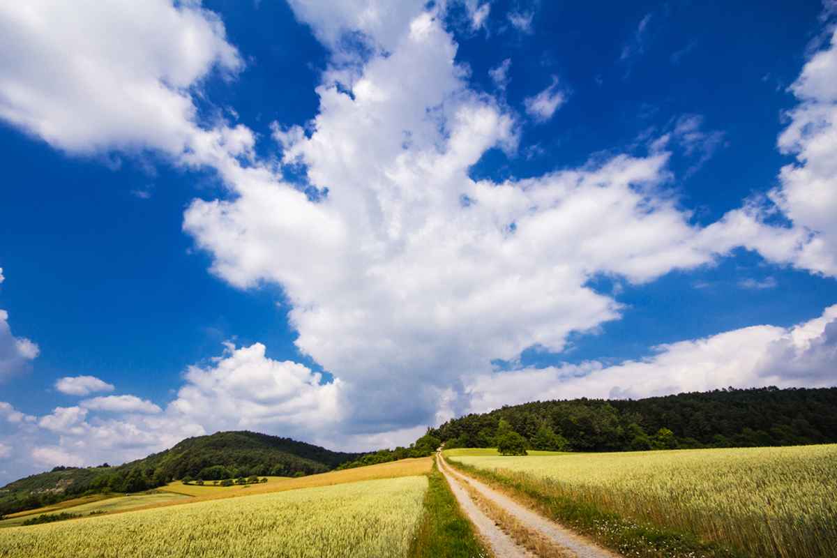 straight ahead