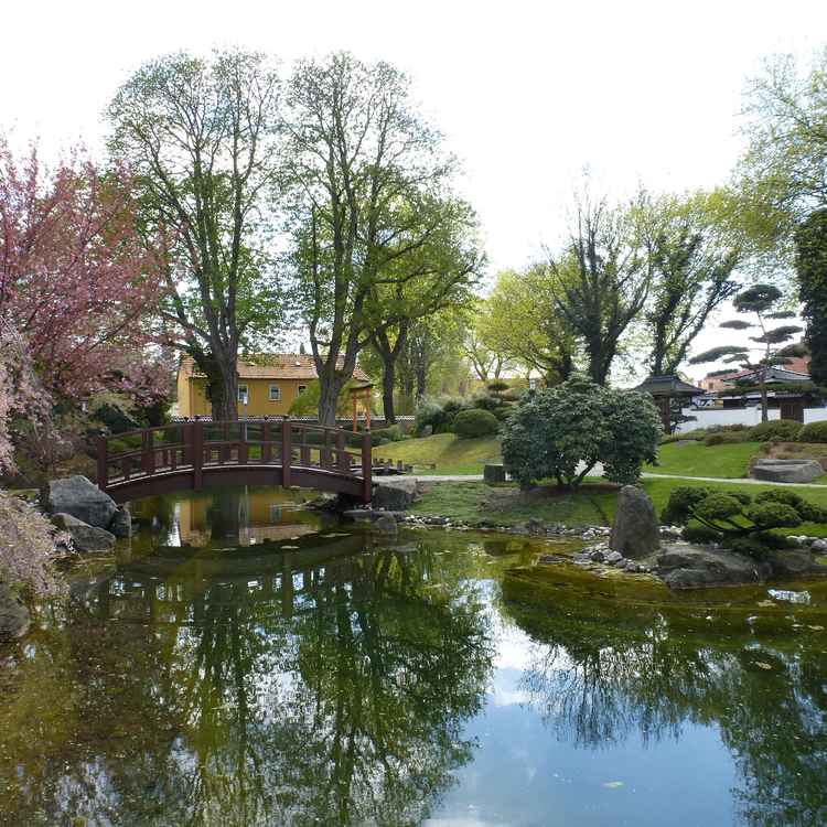 Im japanischen Garten Bad Langensalza.