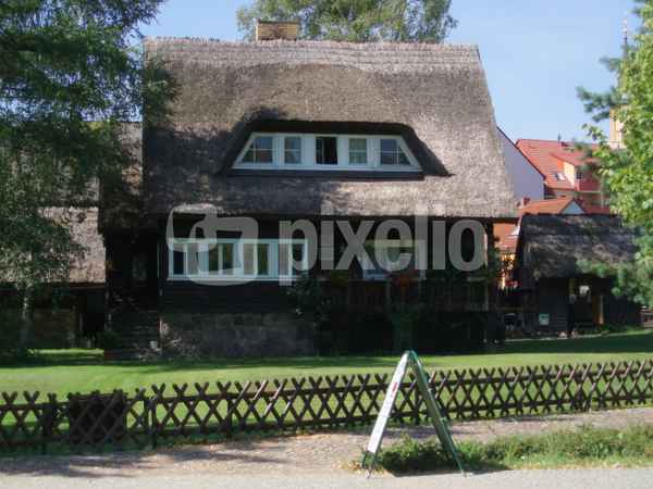 Reetdach