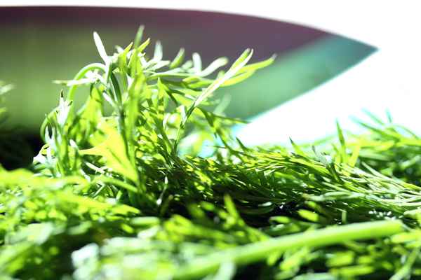 Dill