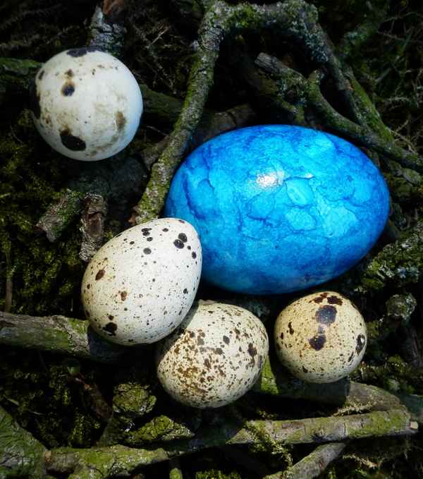 Blaue Ostern