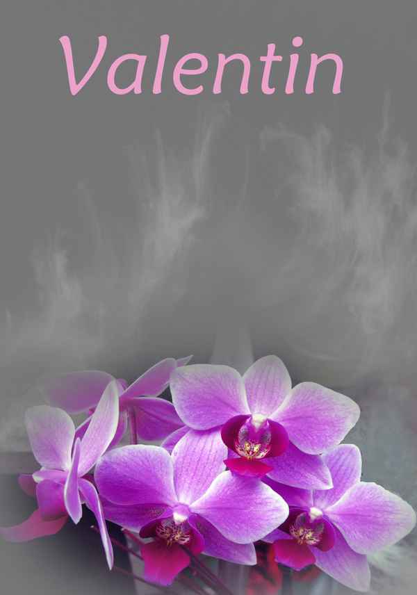 14. Februar - Valentin - nicht vergessen
