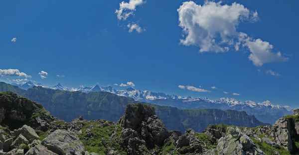 Panoramablick vom Sigriswilgrat in die Berner Alpen