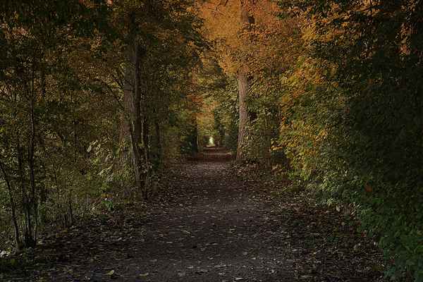 Der Weg
