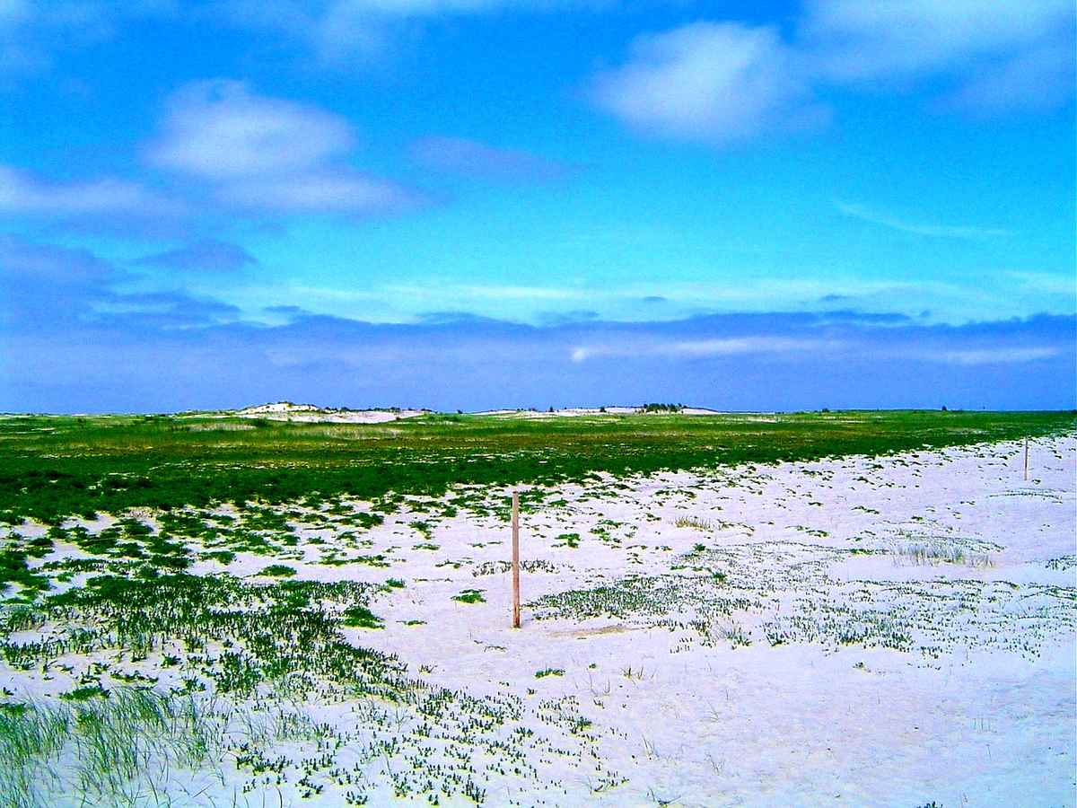 Dünenlandschaft auf Norderney
