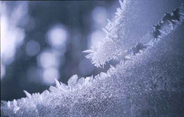 Eisblumen am Fenster