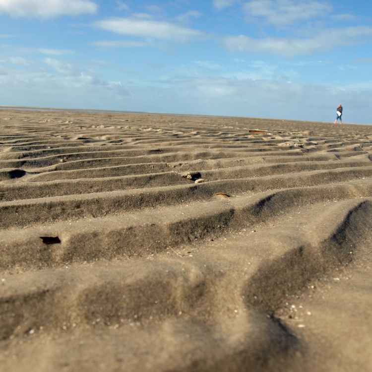 Spaziergang auf der Sandbank