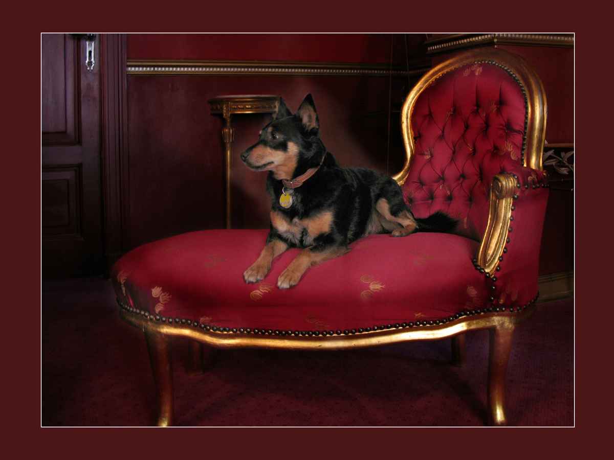 Proletariat im Schloss