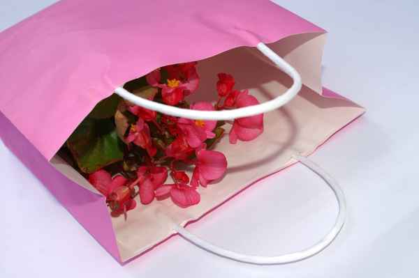 rosa Geschenk