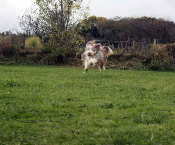 Abgehoben
