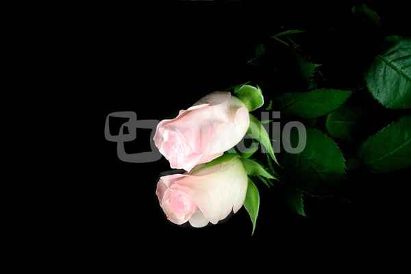 Spiegelbild 78