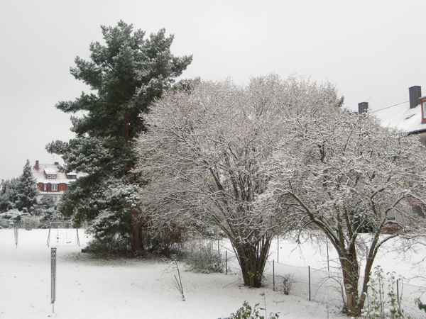 Früher  Winter in Norddeutschland