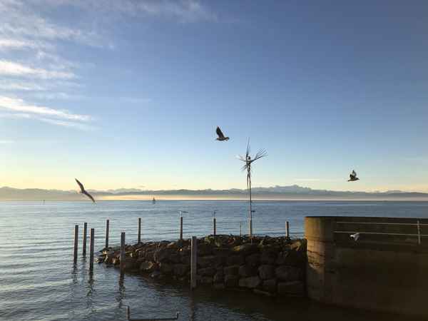 Friedrichshafen im Dezember 2021