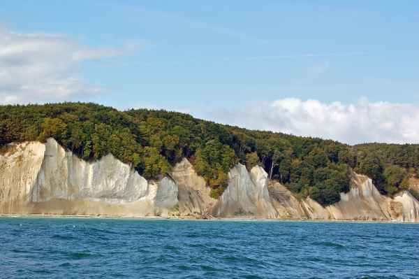 Die Kreidefelsen in Jasmund auf Rügen