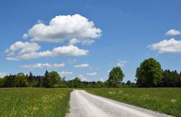 "Wer nicht läuft,...