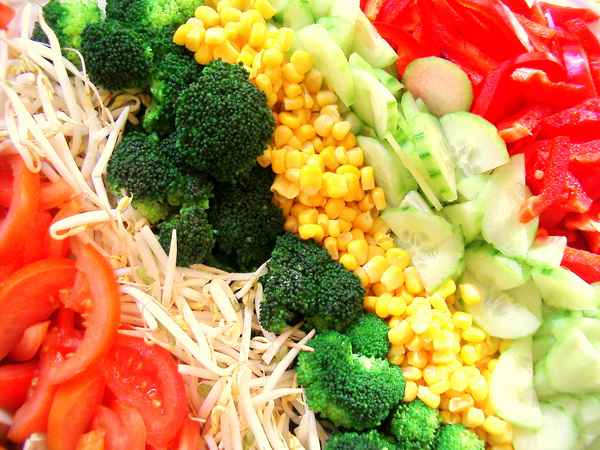 lecker salat 2