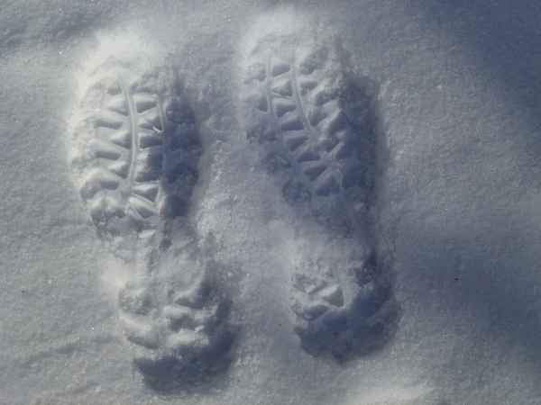 Abdrücke im Schnee
