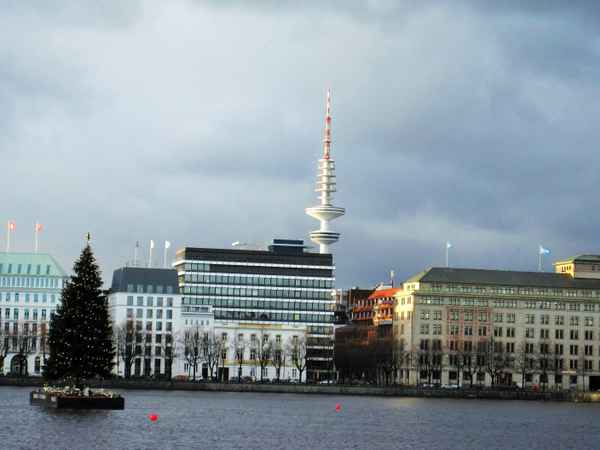 viele Jahre Tradition: Weihnachtsbaum auf der Alster