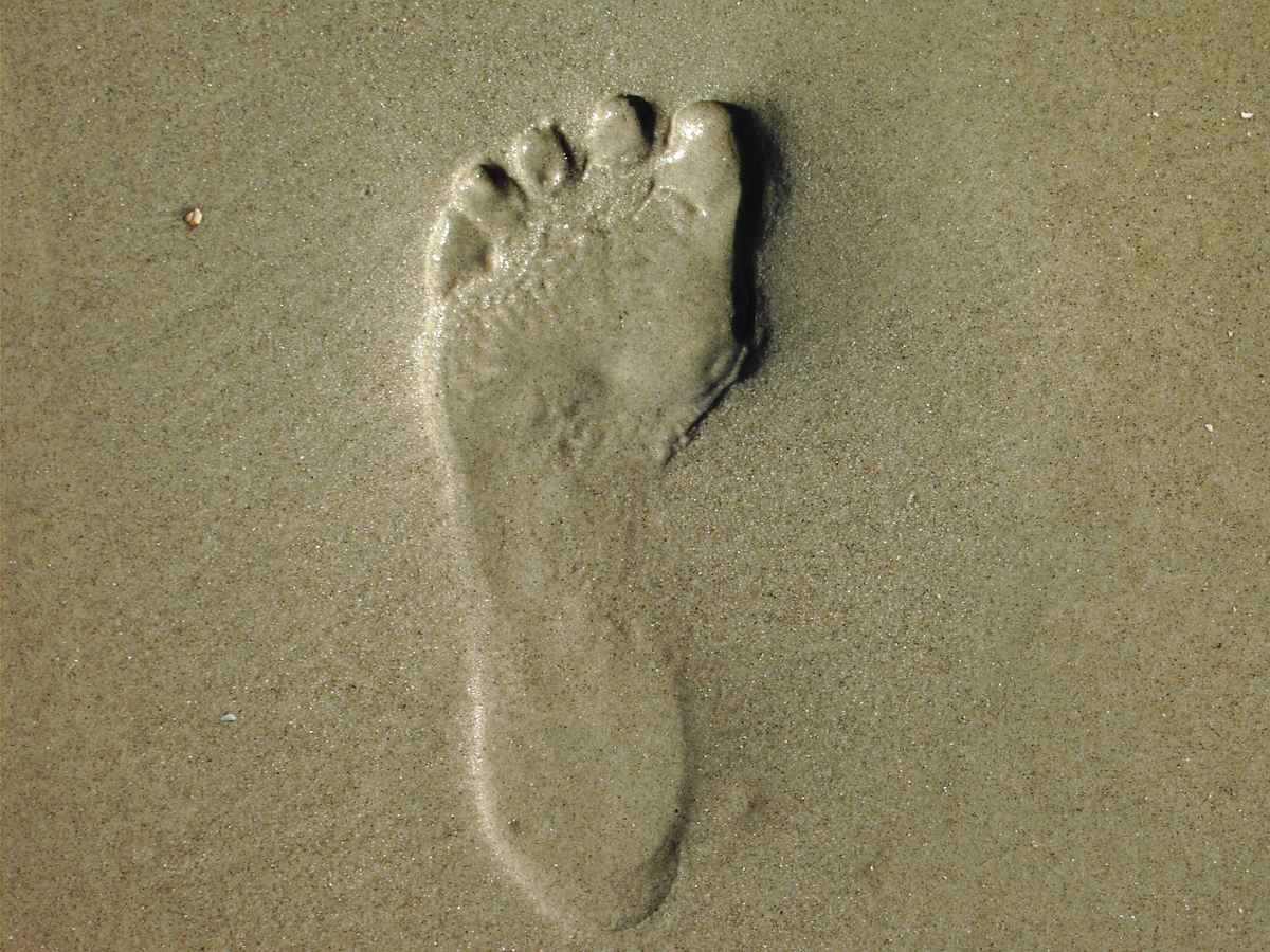 Spuren im Sand