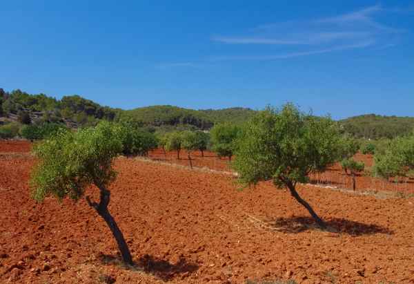 Terra Rossa , Ibiza
