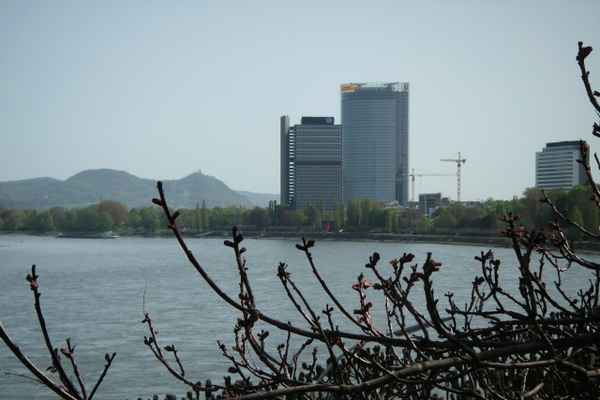 Skyline Bonn