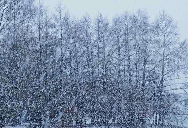 schneesturm intermezzo