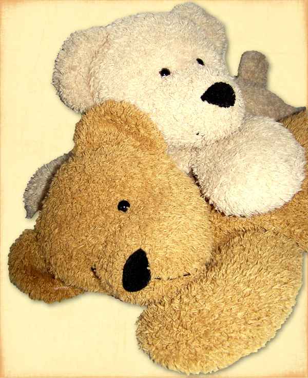 Zwei Kuschelbären
