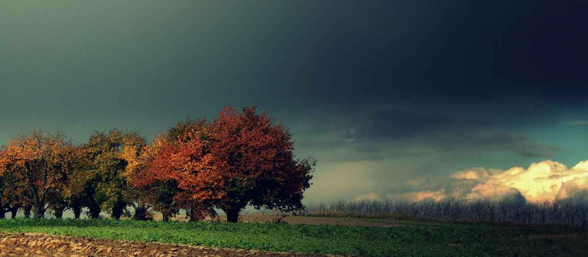 Herbstpalette