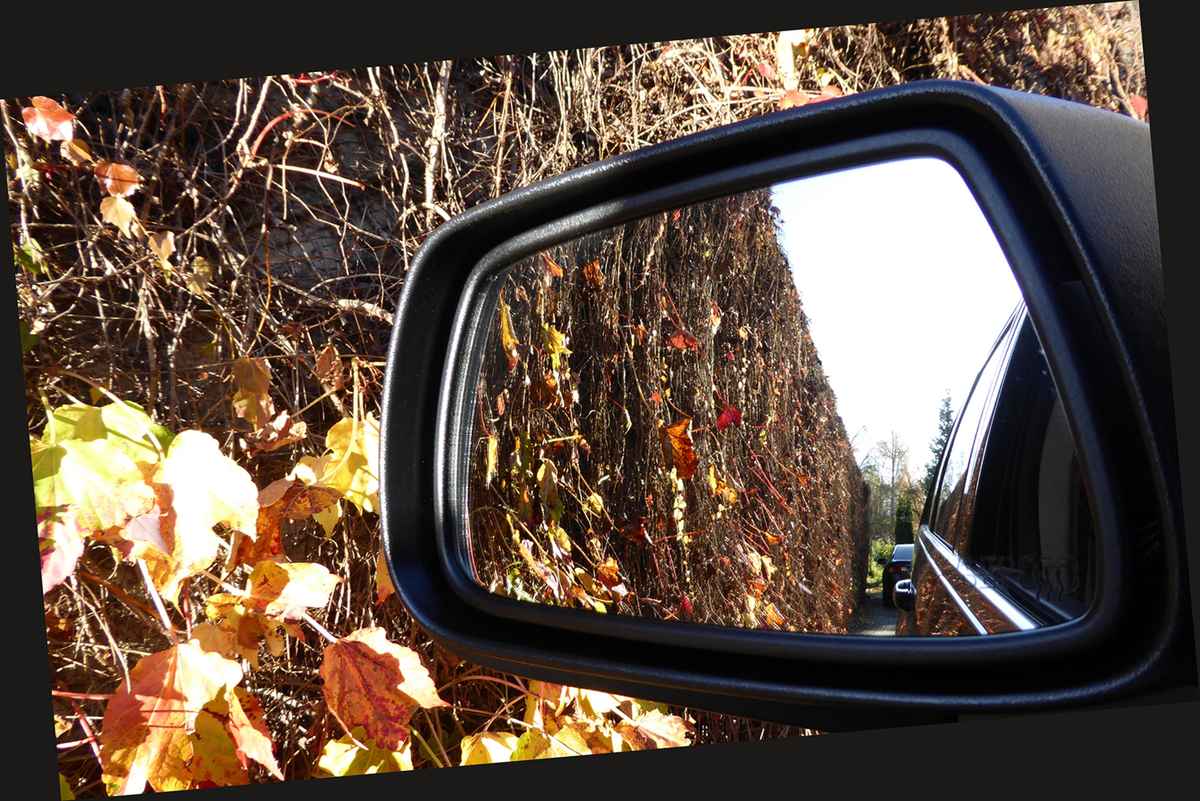 Herbst