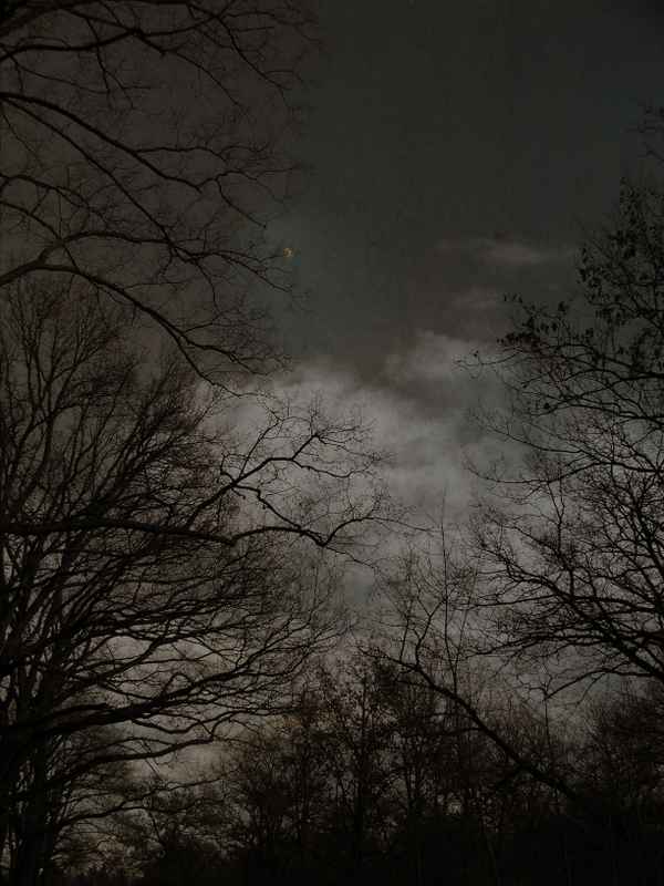 Aprilabend mit kleinem Mond