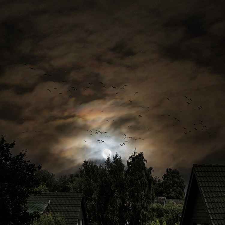 Überflieger