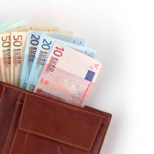 Brieftasche - prall gefüllt!