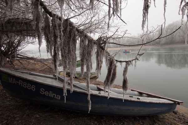 Neujahrstag am Altrhein