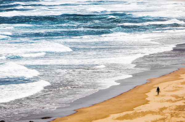 Einsamer Strandläufer