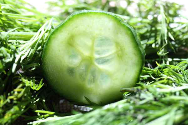 Gurkensalat mit Dill