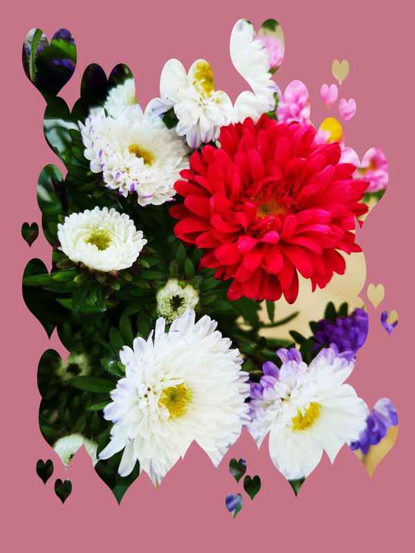 Bunte Blumenkarte
