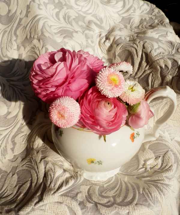 Rosa Träume