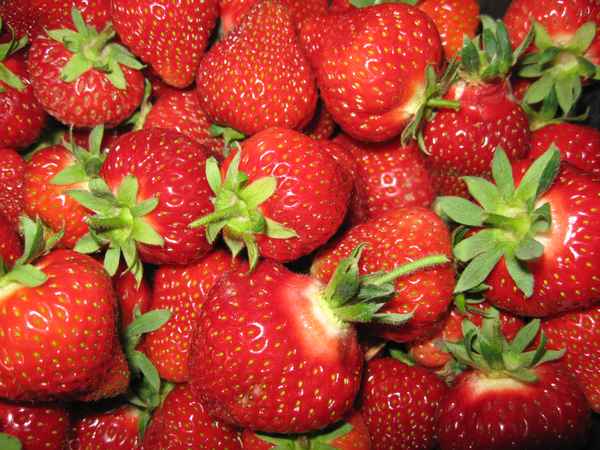 Erdbeeren