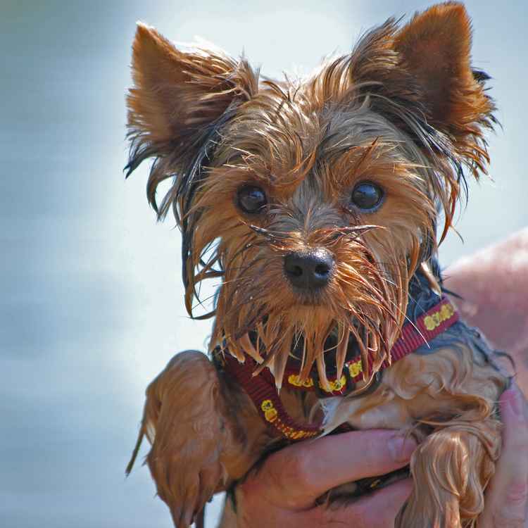 Herrlich erfrischend!