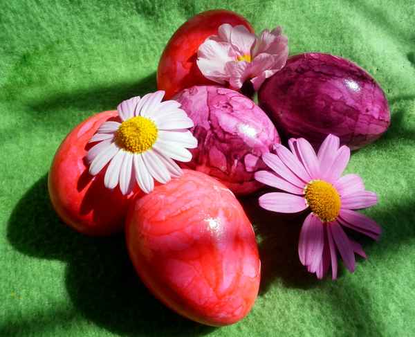 Rosa Ostern