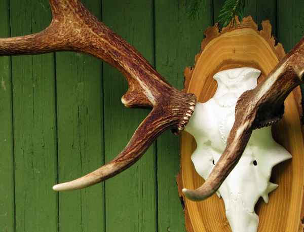 Jagdglück