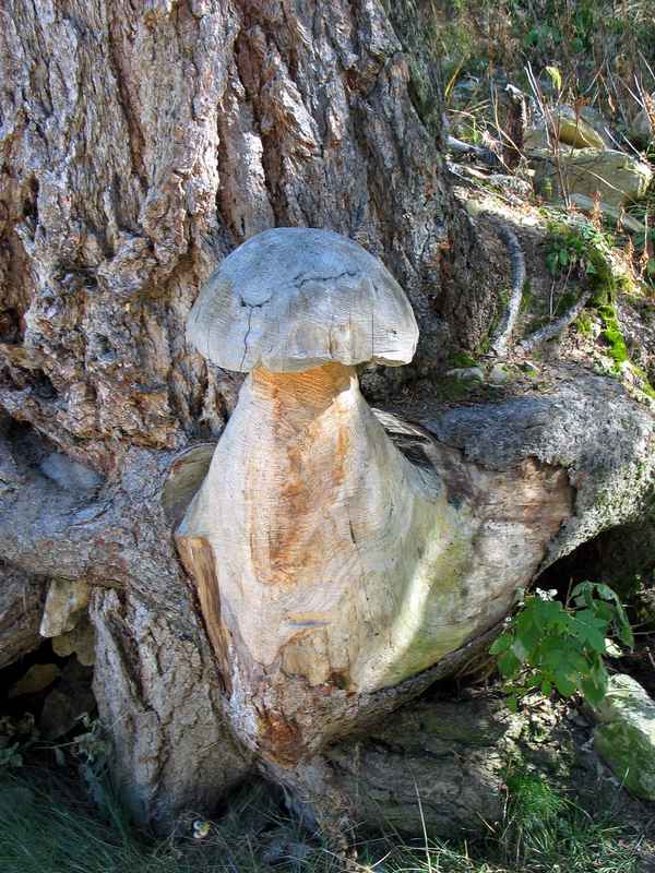 Bisse du Trient: Holzkunst