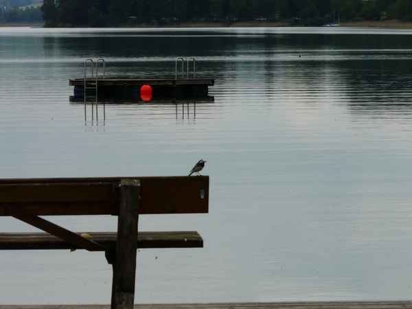 Mattsee I
