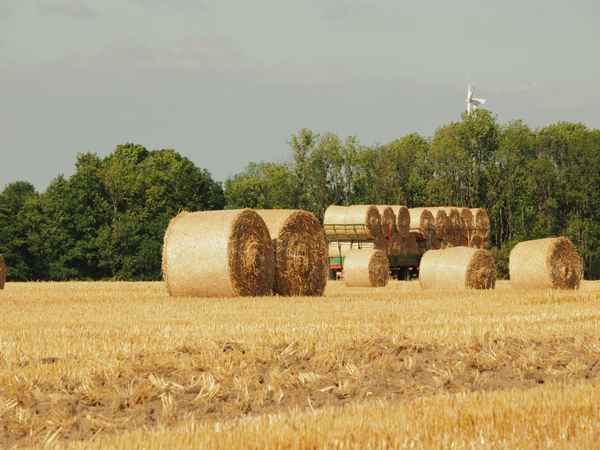 das runde ins eckige