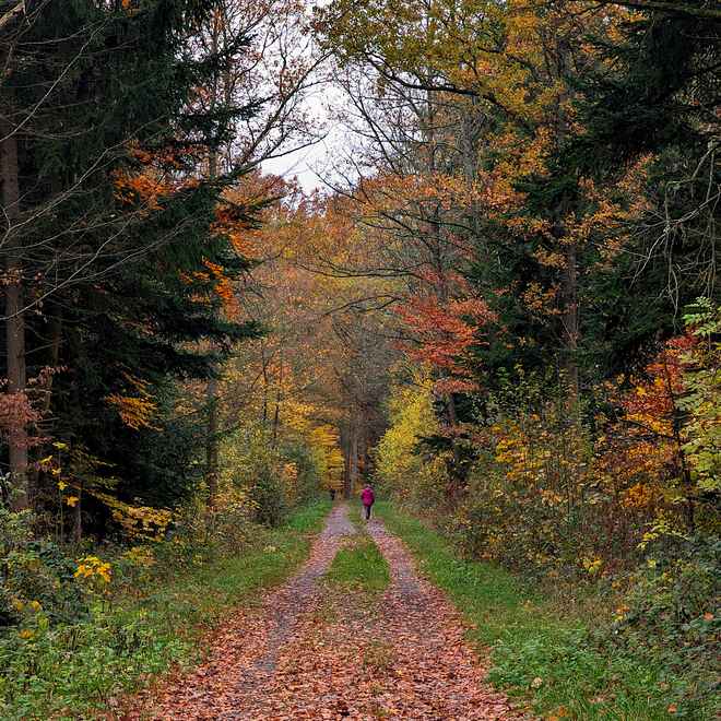 November Spaziergang