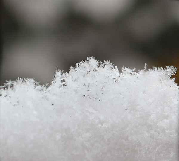 Schneekristalle 01