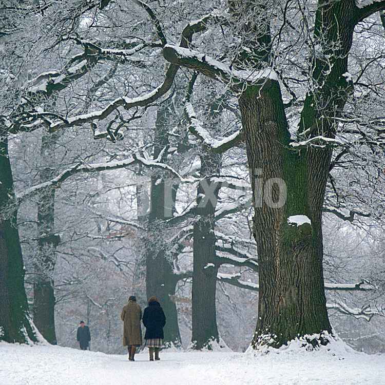 Winterspaziergang